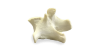 L1