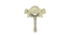 T1