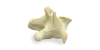 L1