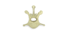 L1
