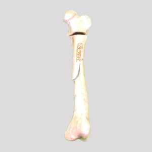 FEMUR ESPONJOSO COM FRATURA SEGMENTAR RADIOPACO - ESQUERDO - CÃO GRANDE - cód. 12716
